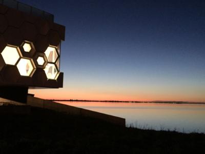 Waddenavond - Zeegrasherstel verhalenavond