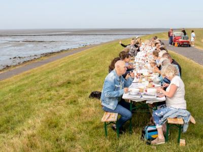 Dag van het Wad - Terschelling